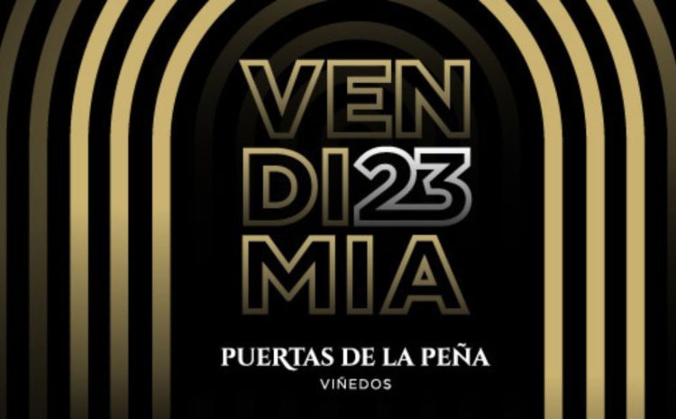 Vendimia Puertas de la Peña
